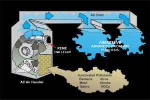 REME-HALO Whole-Home Air Purifier